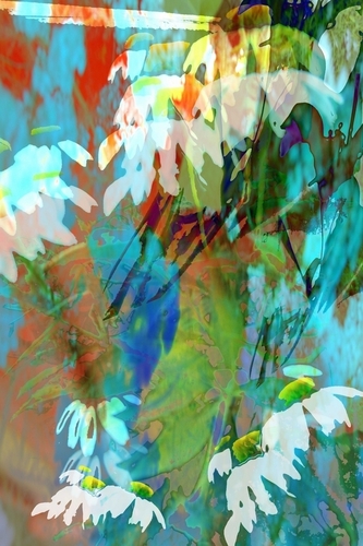 Photography-Abstract-Clean.
