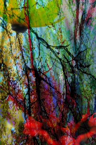 Photography-Abstract-Cold.