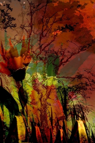 Photography-Abstract-Untitled.1