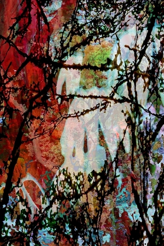 Photography-Untitled.3