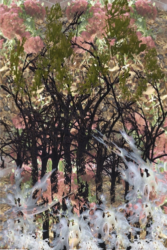 Photography-Abstract-Print