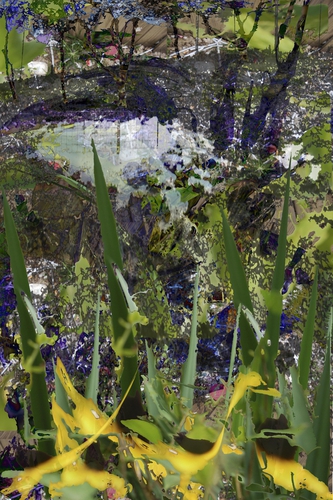 Photography-Print
