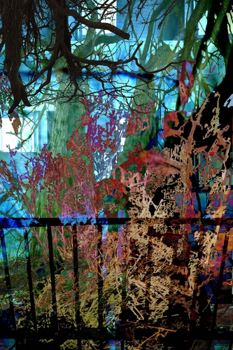 Photography-Abstract-Print
