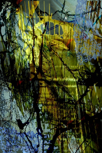 Photography-Print