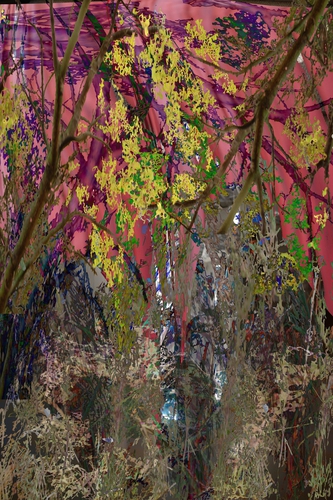 Photography-Abstract-Print