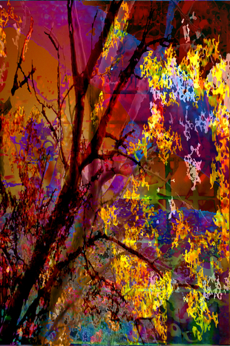 Photography-Abstract-Print