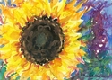 Sunflower & Purple Sunflower%20%26%20Purple (thumbnail)