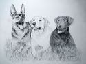 Debbie Radicchi - Nakita, Drake, &amp; Fidelis