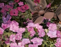 Yard%20Cat (thumbnail)
