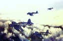 War%20Birds%20in%20Flight (thumbnail)