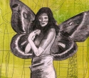 Contemplative (thumbnail)