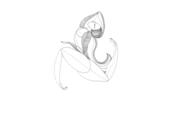 Opera (thumbnail)