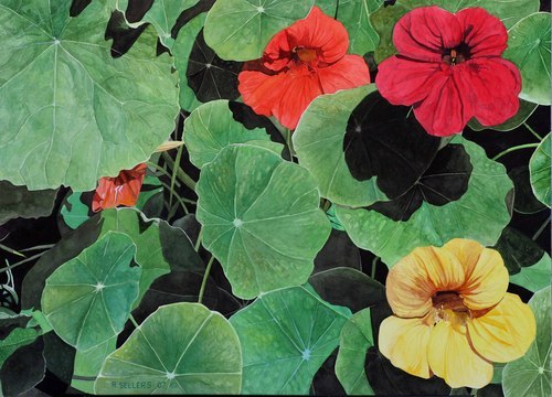 Painting-Floral-nasturtiums