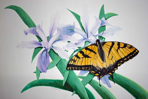Painting-Wildlife-swallowtail