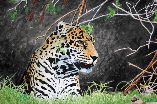 Painting-Wildlife-spots