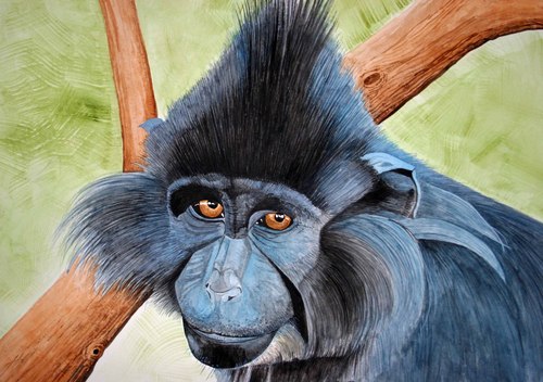 Painting-Wildlife-blue monkey