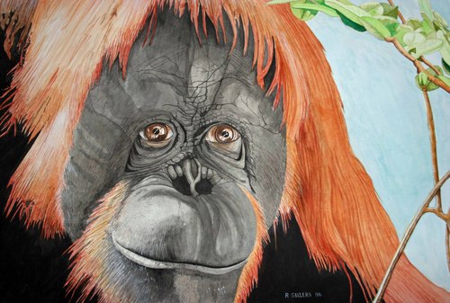 Painting-Wildlife-in the mirror