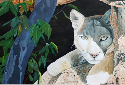 Painting-Wildlife-lion in waiting
