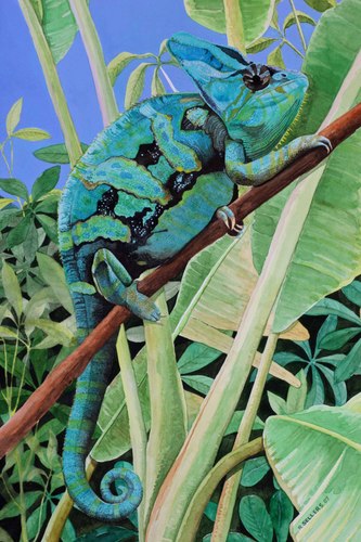 Painting-Wildlife-its all in the blend