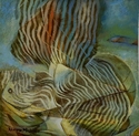 Ocean Life