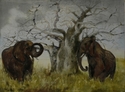 Tsavo Elephants