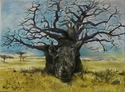 Rhino Baobab