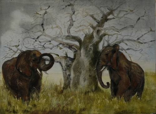 Print Making-Monoprint-Tsavo Elephants