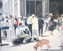 The Crowd