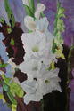 Ted Randal - Floral Painting Floral Watercolor Painting - Floral Painting