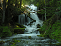 Big Spring Creek Falls 4574