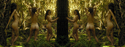 Forest Illusion