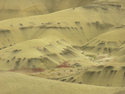 Photography--Color-LandscapePainted Hills 3775