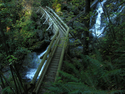 Photography--Color-LandscapeBridge over Hardy Creek 4391