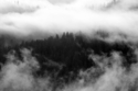 Photography--Black & White-LandscapeLost Lake 7336