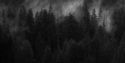Photography--Black & White-LandscapeLost Lake 7387