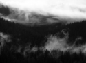 Photography--Black & White-LandscapeLost Lake 7312