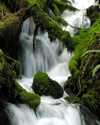 Photography--Color-LandscapeWahkeena Creek 3040