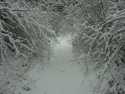Photography--Black & White-LandscapeHamilton Mtn Trail 5063