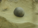 Photography--Color-AbstractShore Acres Rock Abstract 9663