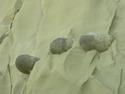 Photography--Color-AbstractShore Acres Rock Abstract 9677