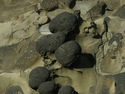Photography--Color-AbstractShore Acres Rock Abstract 9706