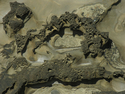 Photography--Color-AbstractShore Acres Rock Abstract 9712