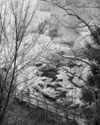 Photography--Black & White-LandscapeBridge at Latourelle Falls