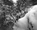 Photography--Black & White-LandscapeHamilton Mountain Trail 7863_031006