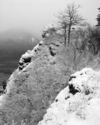 Photography--Black & White-LandscapeHamilton Mountain Trail 7963_031006