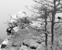 Photography--Black & White-LandscapeHamilton Mountain Trail 7965_031006