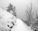 Photography--Black & White-LandscapeHamilton Mountain Trail 8005_031006