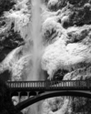 Photography--Black & White-LandscapeMultnomah Falls 7135_022006