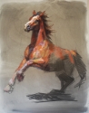 Diane Rappisi - Drawing horse, sketch, pastel, western, study - Drawing