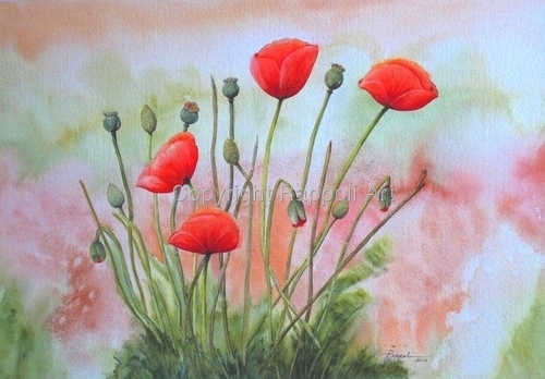 Painting-Poppy